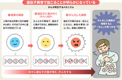 がん医療の最先端をいく　「網羅的がん遺伝子検査」の希望と絶望